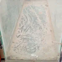 آکواریوم ماهی شیشه ای
