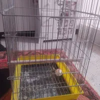قفس بزرگ پرنده
