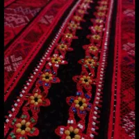 کریشی
