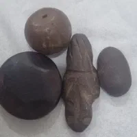 ۴عدد هبهاب به فروش میرسد