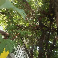 پانسیون خوابگاه دخترانه کارمندی واقع در تجریش|اجارهٔ کوتاه‌مدت آپارتمان و سوئیت|تهران, منیریه|دیوار
