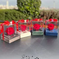 همکار فروشنده خانم - هایپر استار ارم