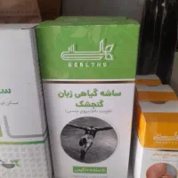 هلسی
