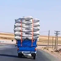 کاه تازه