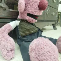 جناب خان