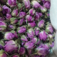 غنچه و پر خشک گل محمدی مرغوب، کیلویی ۴ تومان