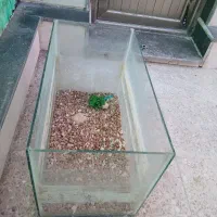 آکواریوم