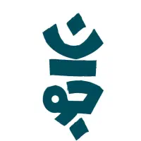استخدام سالندار خانوم