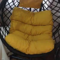 نوی نو هست