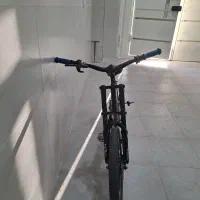 دوچرخه ۲۰ در حد نوه