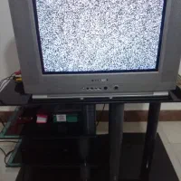 تلویزیون