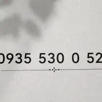 09355300529