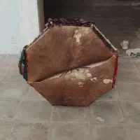 تبل پوستی