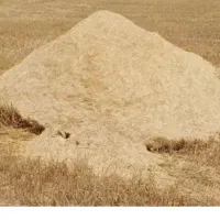 کاه گندم انباری ۲۵۰۰