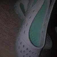 نو هست