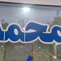 منزل فروشی