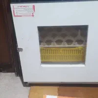 دستگاه جوجه کشی هدایت برای انواع پرندگان