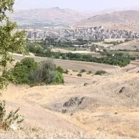 کاه