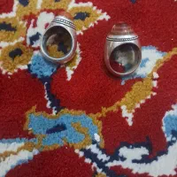 انگشتر|جواهرات|زابل, |دیوار
