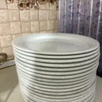 ظروف چینی