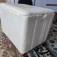 یخدان در حد نو سالم