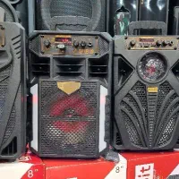 باند اسپیکر ۴۰ سانتی قدرتمند گارانتی با رقص نور