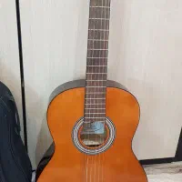 گیتار هافنر