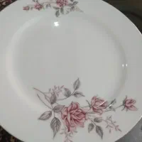 بشقاب پلوخوری قدیمی۱۲ عدد