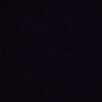 مرغ مینا جوان ۷ماهه