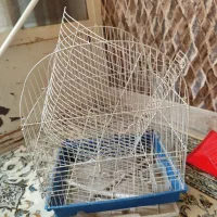 قفس پرنده