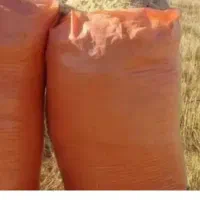 فروش کاه جو