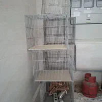 قفس قناری