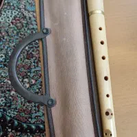 فلوت