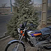 رهرو ۱۲۵|موتورسیکلت|شهریار, شهریار|دیوار