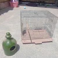 قفس