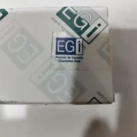 امپلی هوشمند EGi