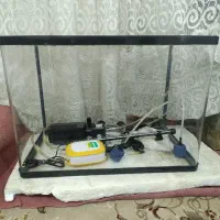 آکواریوم شرکتی شیشه خم