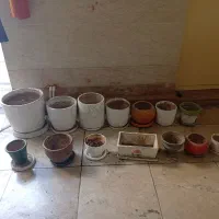 گلدان کوزه ای