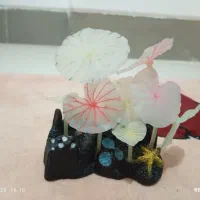 قارچ مصنوعی شب نما اکواریوم