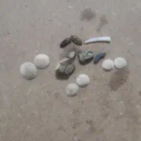 مهره اصل