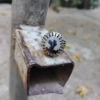 انگشتر شجر