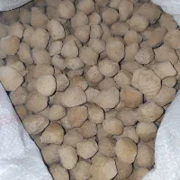 کلگ تازه خشک شده