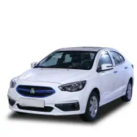یک دستگاه شاهین اتومات باسانروف