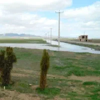 ارد ذرت پرک شده جو سبوس