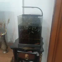 آکواریوم به همراه ۲۵ عدد ماهی گوپی