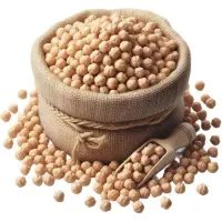 کارگر تخلیه و بارگیری