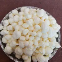 کره گوسفندی