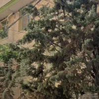 کلنگی ۲۷۰ متر دو بر