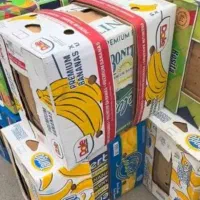 خرید کارتن موز