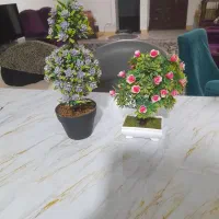 دکور|مجسمه، تندیس، ماکت|مشهد, پنجتن|دیوار